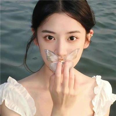 麒麟之翼